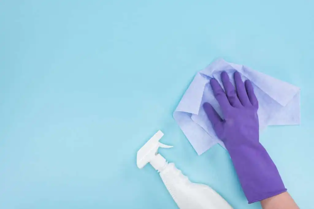 Cleaning Services