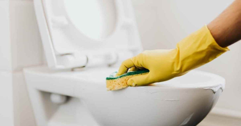 The Cincinnati Homeowner's Guide to Removing Toilet Bowl Rings