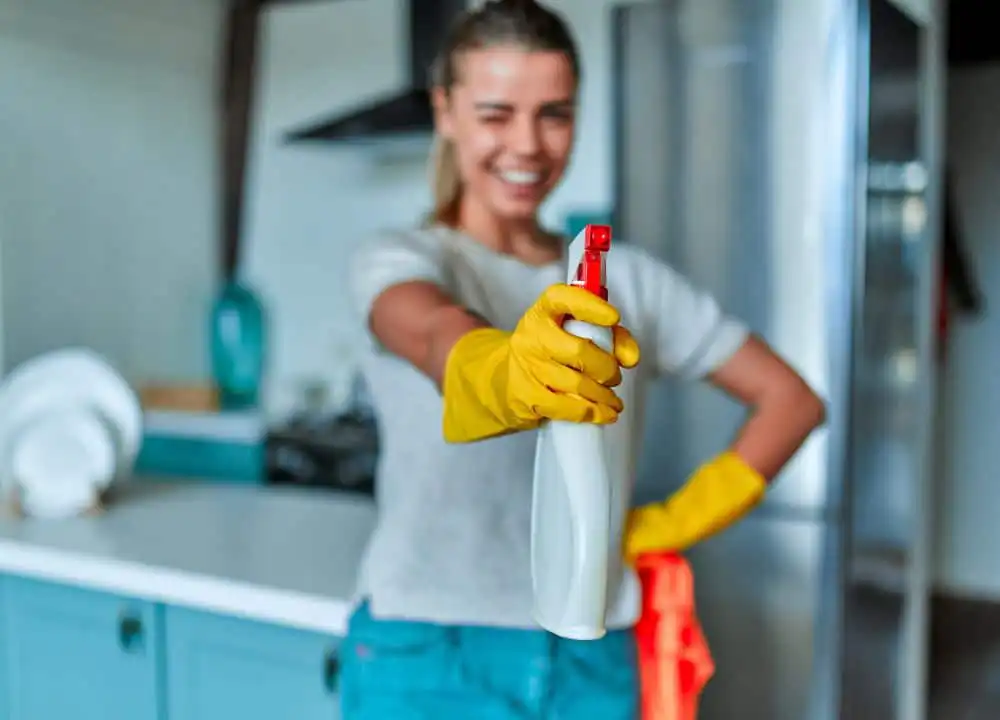 speed cleaning